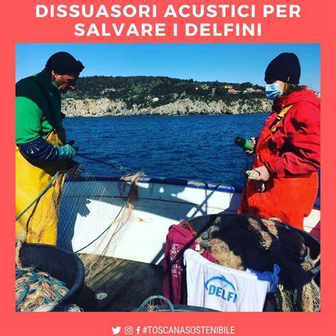 delfini e uomo in mare - interazione di salvataggio