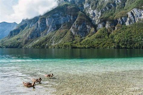 lago Bohinj trasparenza acqua montagna