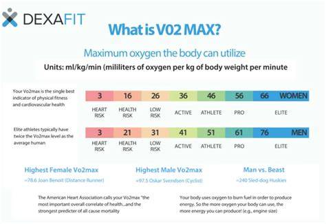 grafico VO2max nuoto