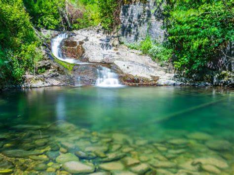 cascata e laghetti con libellule blu