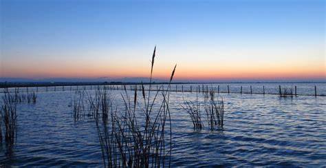 kayak sul mare e laguna di Lesina