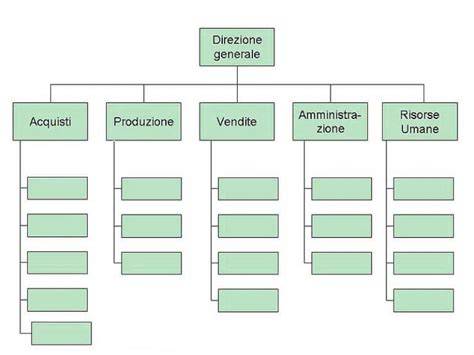 diagramma struttura FIN con organi e ruoli