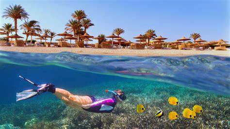 snorkeling spots Marsa Alam (8 words)