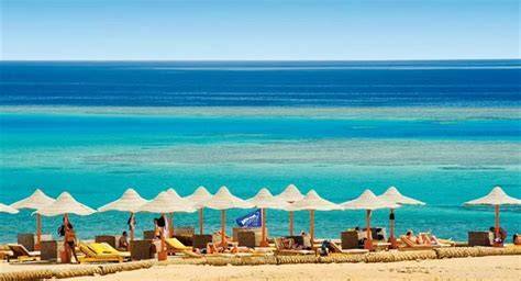 isole e barriere coralline Marsa Alam (8 words)