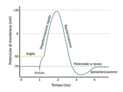 potenziale grafico confronto scope elettriche