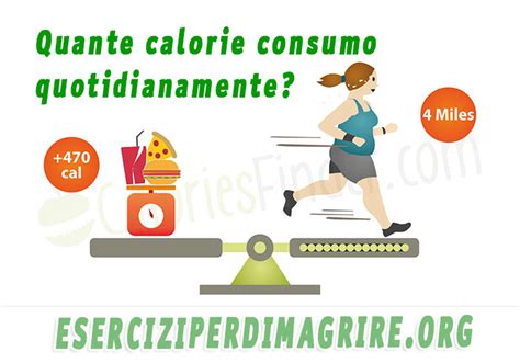 calcolo calorie nuoto uno schema visivo