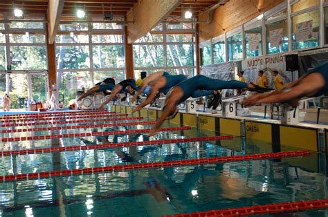 grafico risultati gara nuoto pinnato