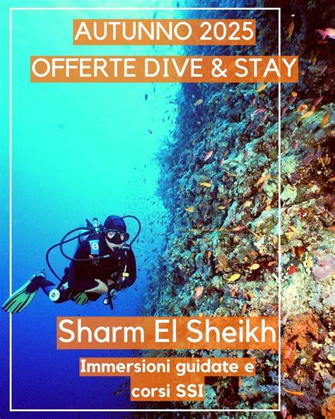 Pacchetti housereef e immersioni